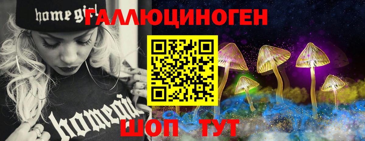 Бийск  Псилоцибиновые грибы мицелий  Вход с VPN 