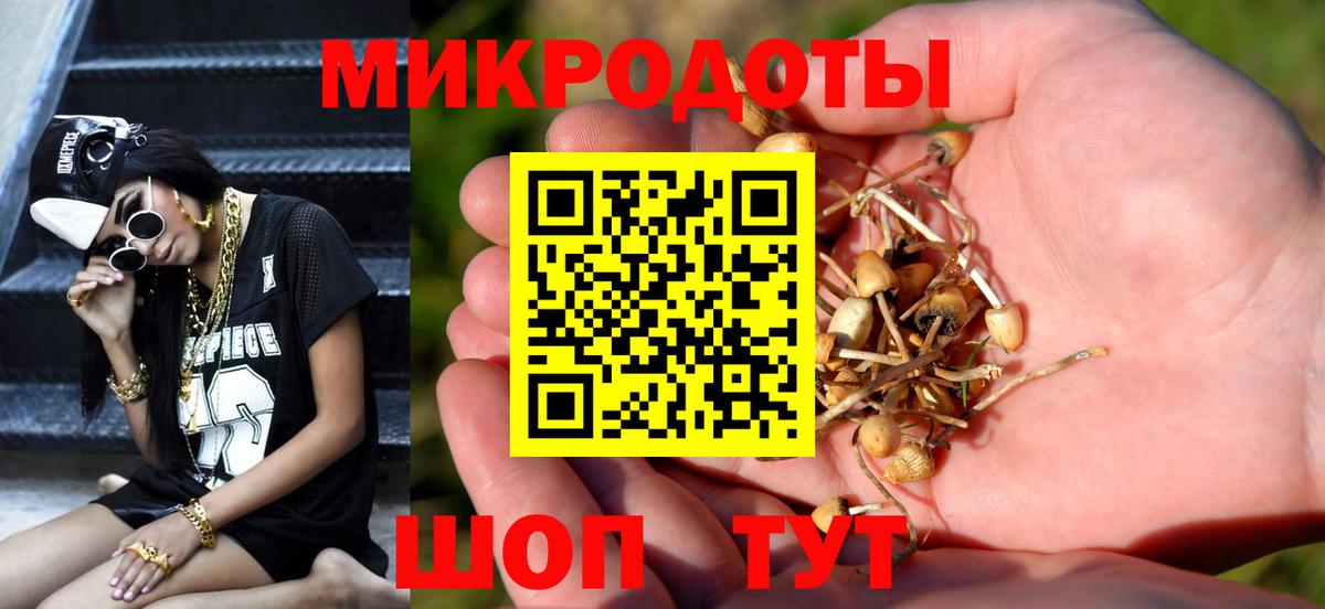 Псилоцибиновые грибы Psilocybine cubensis Бийск